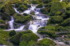 베스트갤러리 - 장전계곡