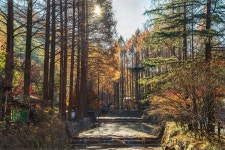 베스트갤러리 - 장태산의 가을빛