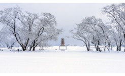 베스트갤러리 - 왕궁터의 겨울