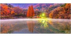 베스트갤러리 - 송곡지 새벽