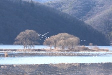 베스트갤러리 - 다시 올께요~~