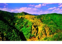 베스트갤러리 - 강원도 수산리 한반도 형상