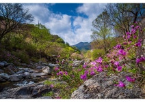 베스트갤러리 - 월성계곡