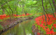 베스트갤러리 - 함양 상림