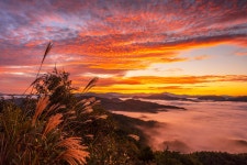 베스트갤러리 - 여 명