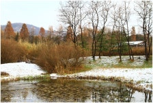 베스트갤러리 - 습지원의 작은연못