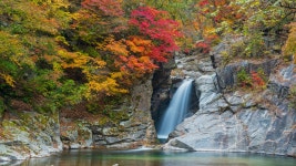 베스트갤러리 - 용소폭포