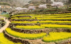 베스트갤러리 - 남해가천 다랭이마을