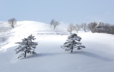 베스트갤러리 - 형제송