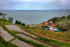 베스트갤러리 - 다랭이마을