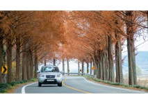 베스트갤러리 - 메타길