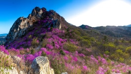 베스트갤러리 - 덕룡산의 오후