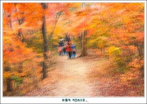 베스트갤러리 - 동심(童心)