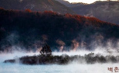 베스트갤러리 - 물안개 피는 용담호
