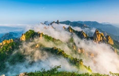 베스트갤러리 - 공룡의 이빨들