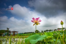 베스트갤러리 - 관곡지......