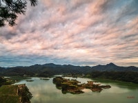 베스트갤러리 - 붕어섬