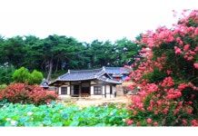 오정오웍스 | 베스트갤러리 - 종오정.