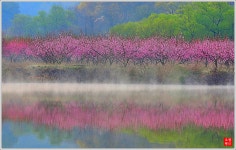 베스트갤러리 - 꿈꾸는 도원