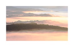 베스트갤러리 - 아침빛이 좋은날