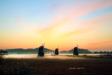 베스트갤러리 - 소래생태공원의 아침