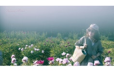 베스트갤러리 - 春女 ------