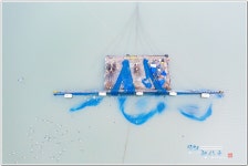 베스트갤러리 - 갈매기놀이터