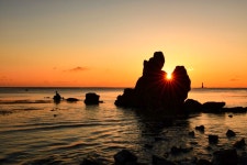 베스트갤러리 - 포항