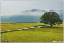 베스트갤러리 - 가을수채화