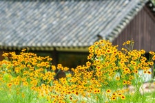 베스트갤러리 - 연곡사에서