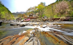 베스트갤러리 - 월성계곡