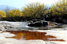 베스트갤러리 - 산수유마을에서