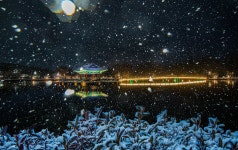 베스트갤러리 - 궁남지~3