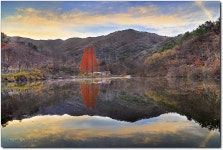 베스트갤러리 - 만추의 송곡지