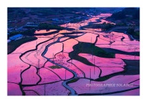 베스트갤러리 - 묘도의 아침,,,,