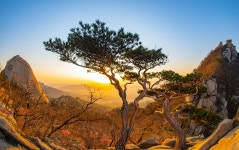 베스트갤러리 - 아름다운 우리강산