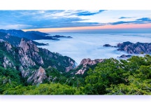 베스트갤러리 - 설악의 여름