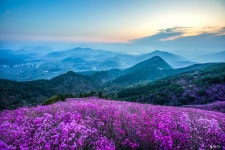 베스트갤러리 - 천주산
