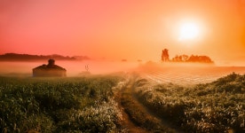 베스트갤러리 - 안성목장