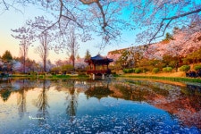 베스트갤러리 - 보문정