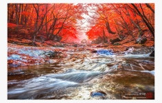 베스트갤러리 - 구천동