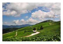 베스트갤러리 - 바람의 언덕..