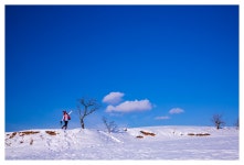 베스트갤러리 - 하얀나라