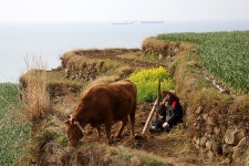 베스트갤러리 - 우리 살던 옛고향