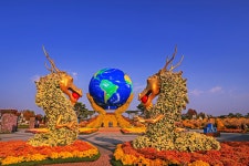 베스트갤러리 - 국향대전