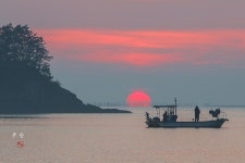 베스트갤러리 - 솔섬의 아침