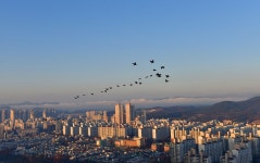 베스트갤러리 - 아침산책 망진산