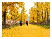 베스트갤러리 - 만남