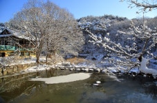 베스트갤러리 - 마곡천의 설화