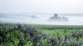 베스트갤러리 - 안성목장